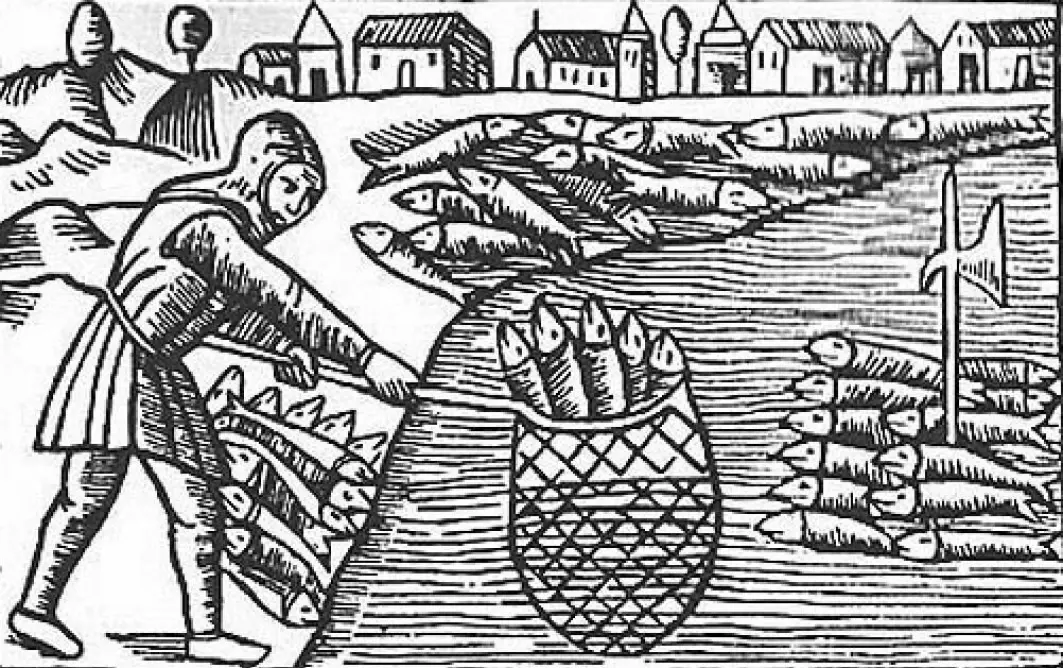 Woodcut from 1555 depicting herring fishing in the Baltic Sea.