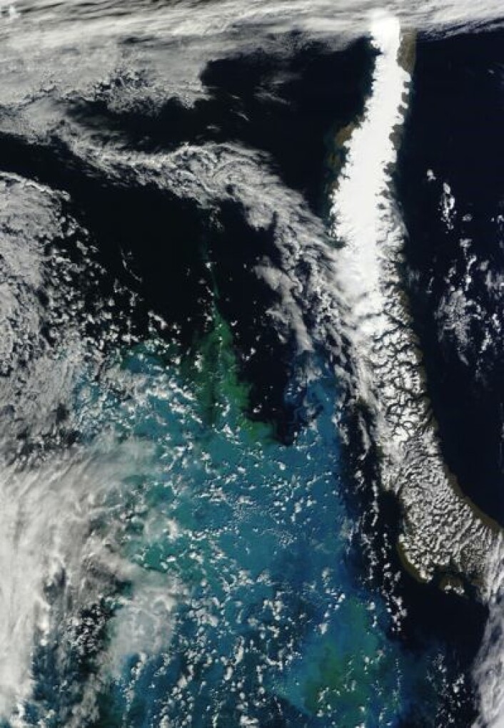 Østre Barentshav sett i redusert oppløsning fra satellitten Terra 23. august. (Foto: (NASA Terra MODIS)) Østre Barentshav sett i redusert oppløsning fra satellitten Terra 23. august. (Foto: (NASA Terra MODIS))