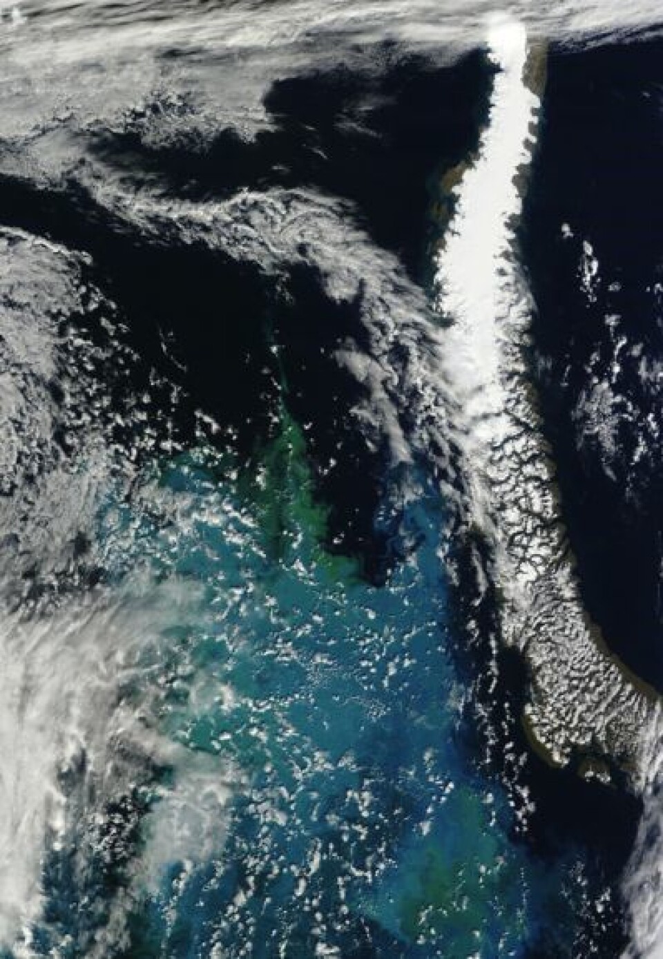 Østre Barentshav sett i redusert oppløsning fra satellitten Terra 23. august. (Foto: (NASA Terra MODIS))