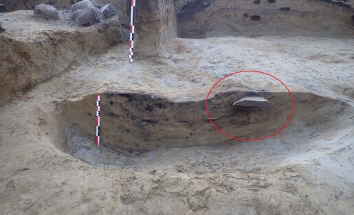 Her stikker verdens eldste runestein ut av bakken. Slik fant forskerne ut hvor gammel den er