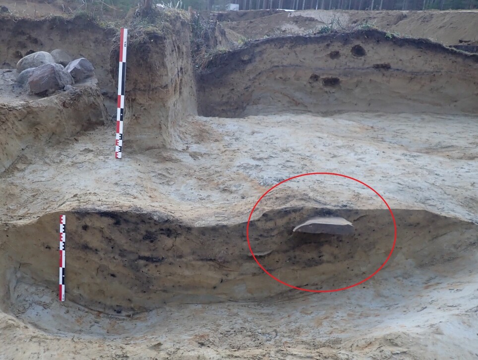 Bildet viser hvordan utgravningsfeltet så ut etter at arkeologene hadde gravd ut gravhaugene. Du kan se den gamle skogbunnen øverst i bildet. Svingerudsteinen er markert med en rød ring, men arkeologene var ikke klar over hva de hadde funnet. De svarte flekkene til venstre for steinen er trekull og brente knokkelrester.