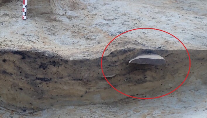 Her er Svingerudsteinen markert med en rød ring. Bilde viser hvordan den stikker ut i utgravningsfeltet.