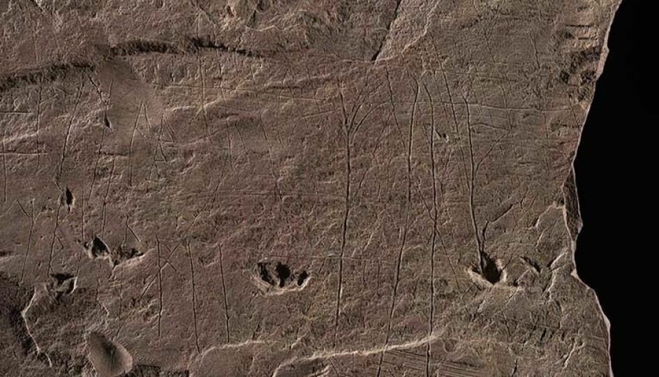 På dette utdraget av Svingerudsteinen kan du se streker og runeformer som noen kan ha etterlignet fra andre runer.