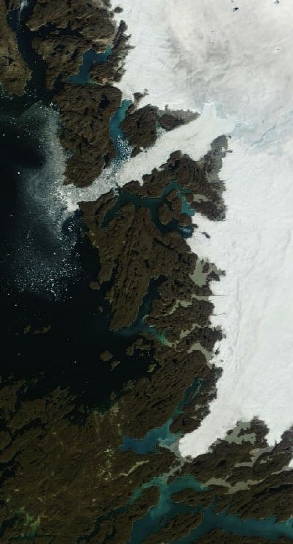 En liten is-kollaps ute på Jakobshavn-breen i dag? Her sett i full oppløsning fra Terra 29. august. (Foto: (NASA Terra MODIS))