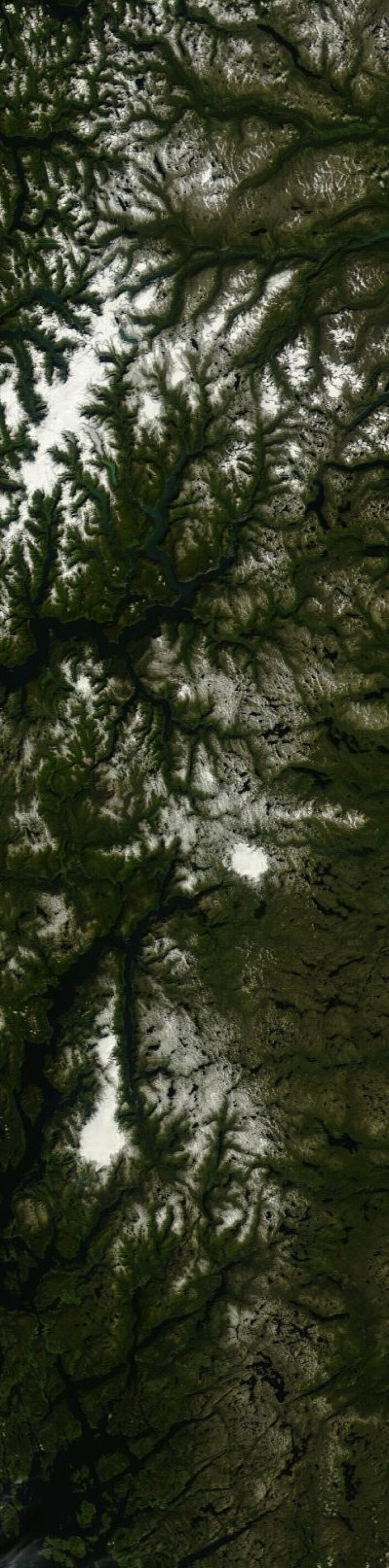 Her er den gjenværende isen og snøen i fjellet etter denne sommeren. Sett fra Terra 27. august. (Foto: (NASA Terra MODIS)) Her er den gjenværende isen og snøen i fjellet etter denne sommeren. Sett fra Terra 27. august. (Foto: (NASA Terra MODIS))