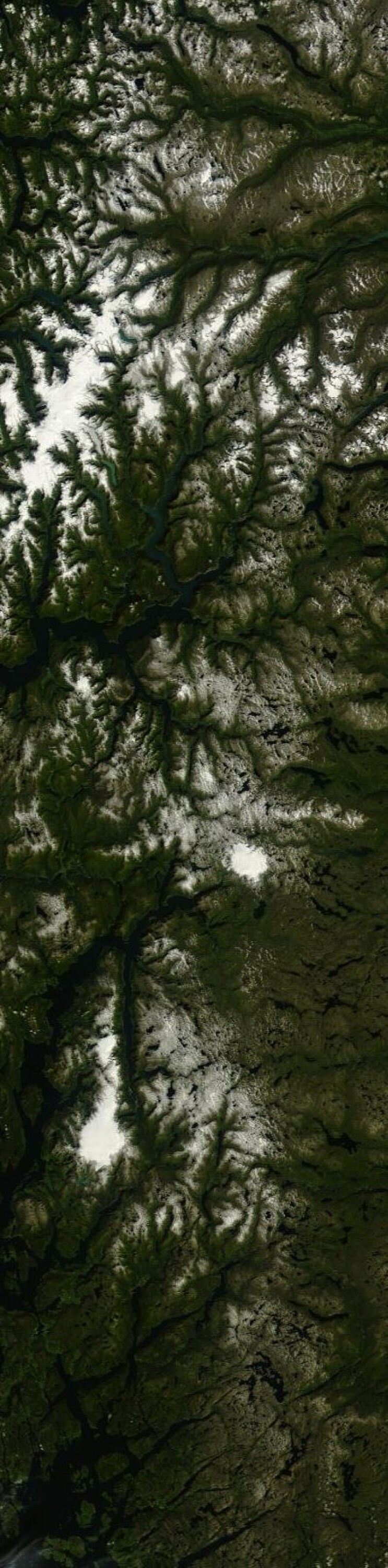 Her er den gjenværende isen og snøen i fjellet etter denne sommeren. Sett fra Terra 27. august. (Foto: (NASA Terra MODIS))
