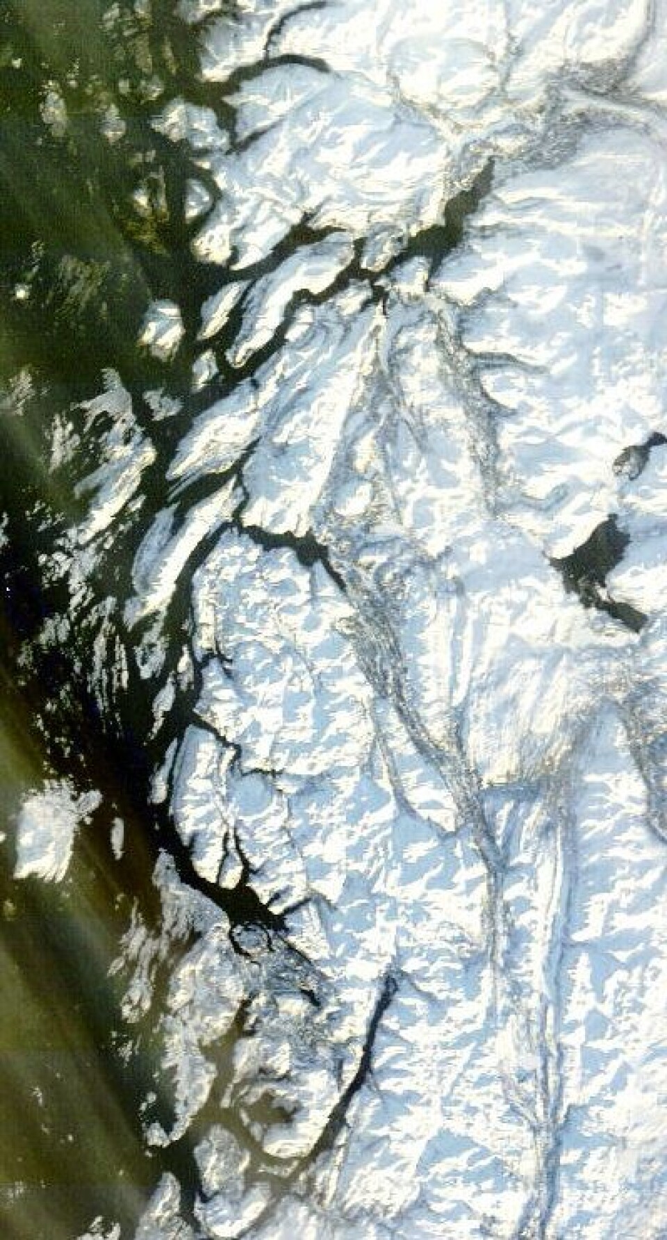 Det første (nesten) skyfrie bildet fra Helgelandskysten i det nye året, tatt fra NASAs satellitt Terra 25. januar. Fortsatt noe åpent vann på Røssvatn. (Foto: (NASA MODIS))