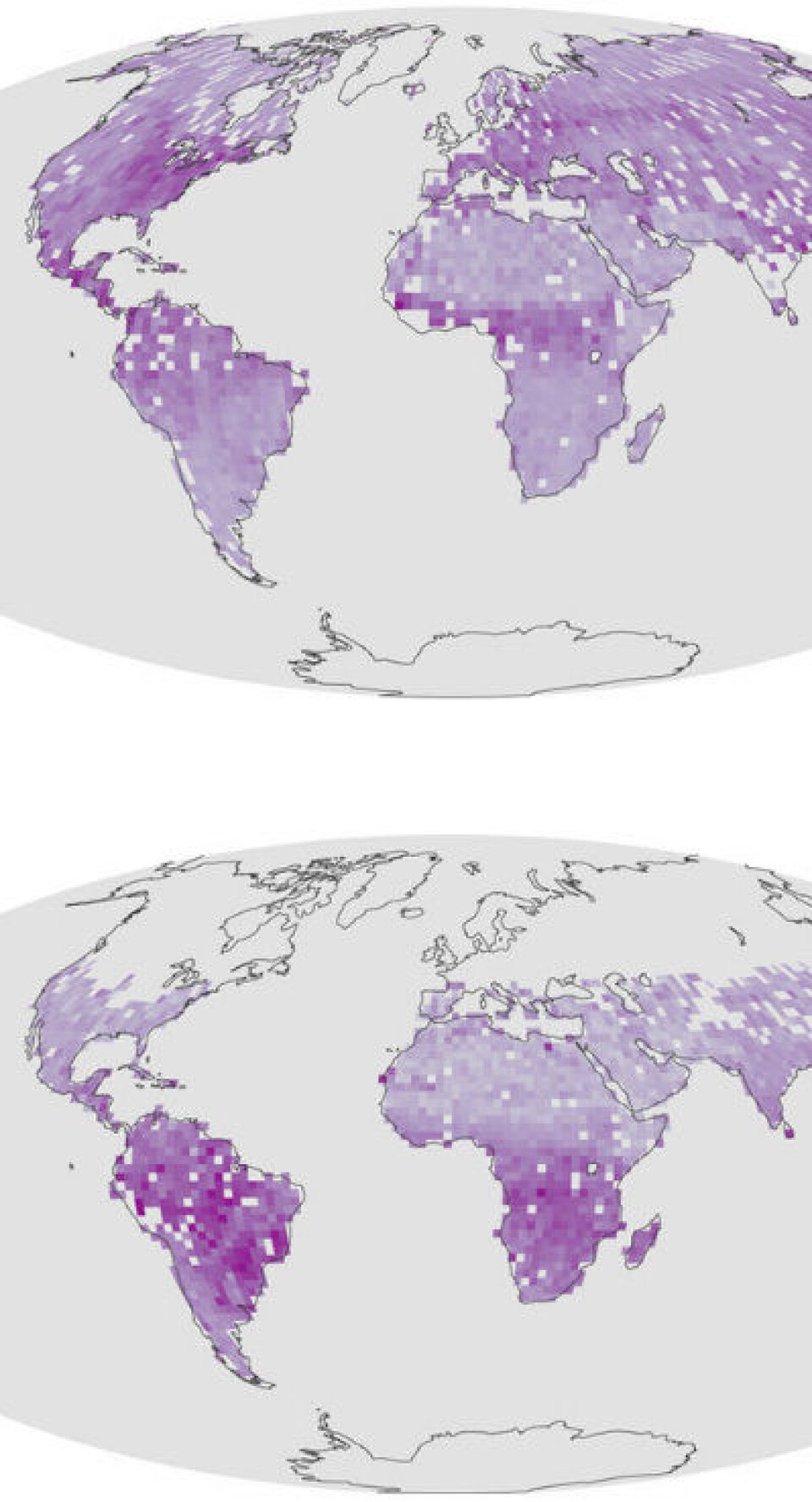 Fluorescens fra vegetasjonen målt med spektrometer fra satellitt i juli (øverst) og desember (nederst). Rådata: GOSAT (JAXA). Analyse: NASA Earth Observatory.