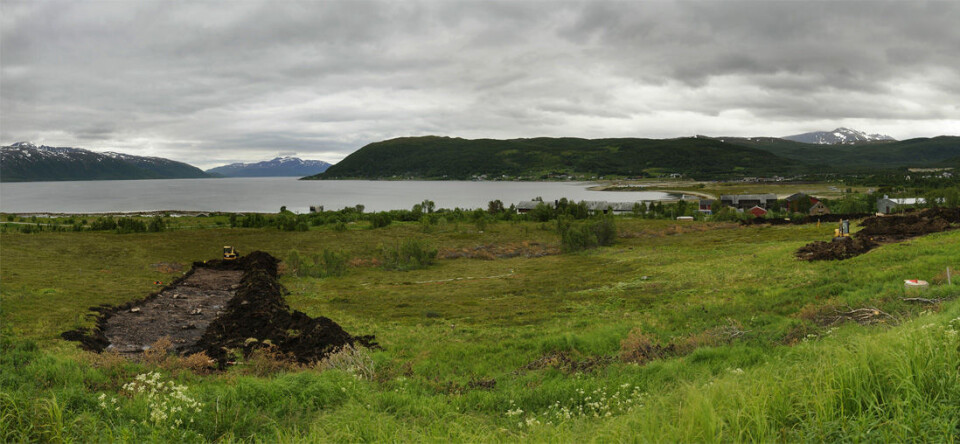 Bildet viser to av feltene vi har begynt å grave i. I bakgrunnen ser du Tønsvika og Åsneset på høyre side av fjordgapet. Til høyre i bildet sees Rundfjellet(1113moh) og Trollvassnova i bakgrunnen. Midt i gapet ser man faktisk helt til Reinsøya med Reinskartinden(883), Steinfjellet(798) og Stangnesdalstinden(653). Toppen til venstre i bildet tipper jeg er Skulgamstinden(918). (Foto: Christine Haugsten Ellefsen)