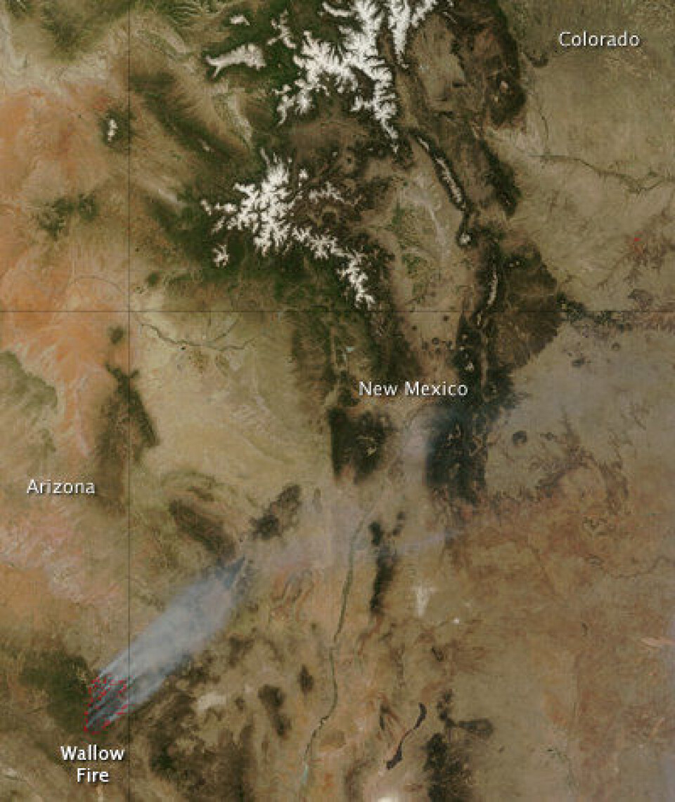 Skogbrannen i Wallow, Arizona, sett fra NASAs satellitt Terra 7. juni. Det ligger fortsatt noe snø oppe i Rocky Mountains. (MODIS Rapid Response Team, NASA GSFC).
