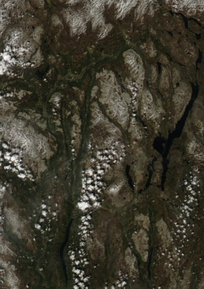 Ikke mye snø igjen i området mellom Femunden og Rondane da NASAs satelliitt Aqua passerte lørdag 25. mai. (Foto: (NASA Aqua MODIS)) Ikke mye snø igjen i området mellom Femunden og Rondane da NASAs satelliitt Aqua passerte lørdag 25. mai. (Foto: (NASA Aqua MODIS))