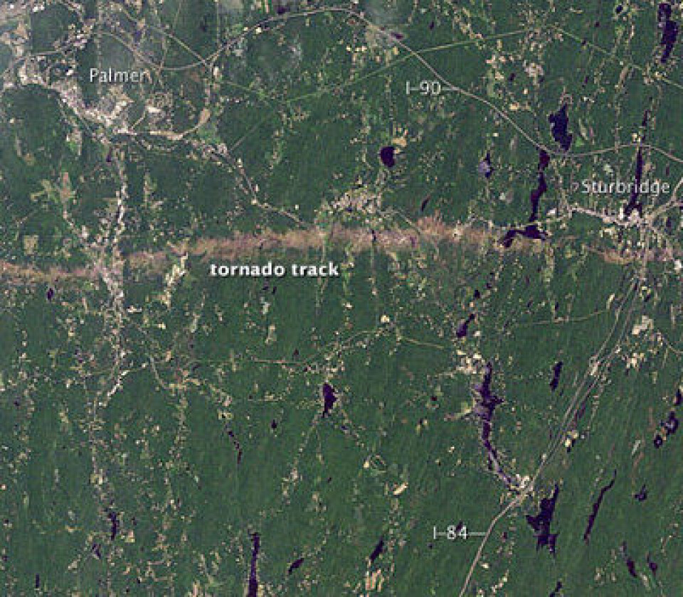 Bilde fra Landsat-5 tatt 5. juni i år, som viser hvordan den dødelige tornadoen i Massachussetts nylig etterlot seg et tydelig spor på bakken der hvor den hadde herjet. (NASA/USGS/Earth Observatory/Jesse Allen).