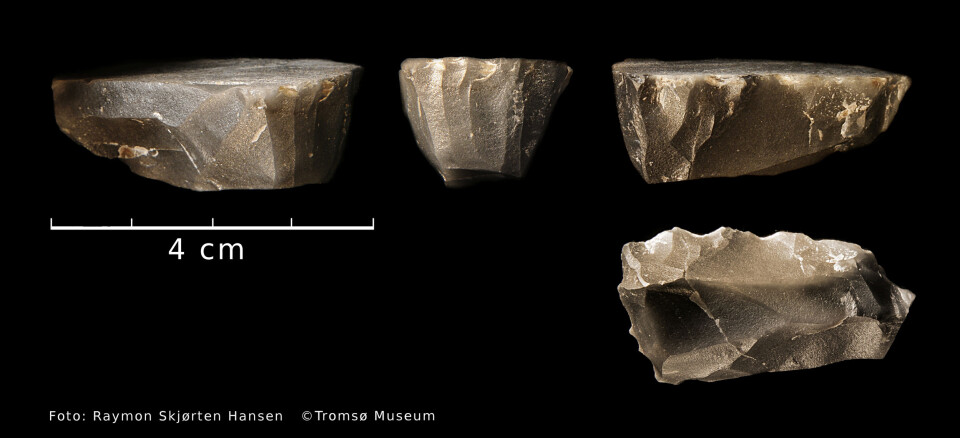 Handtakskjernene ble brukt som skjæreredskaper, bearbeidet til spisser eller innsatt som egger i spyd og harpuner laget av bein. (Foto: Raymon Skjørten Hansen Copyright: Tromsø Museum)
