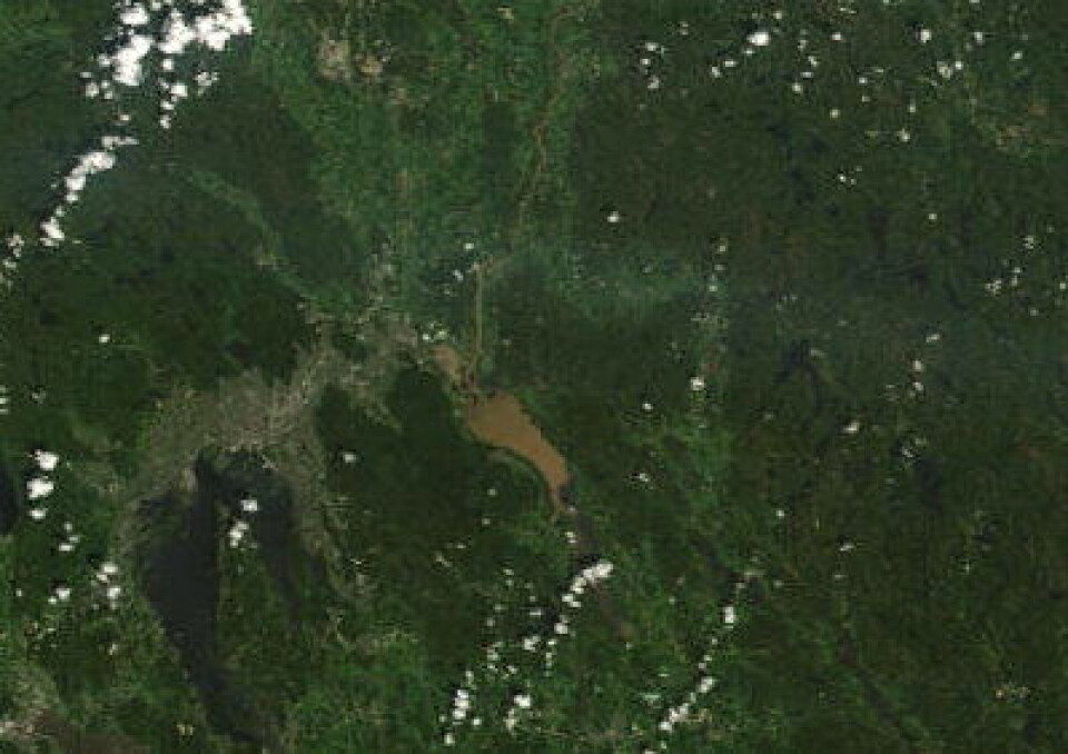 Brunt flomvann i Glomma og Øyeren, sett fra NASAs satellitt 'Terra' 13 juni. (NASA MODIS Rapid Response Team)
