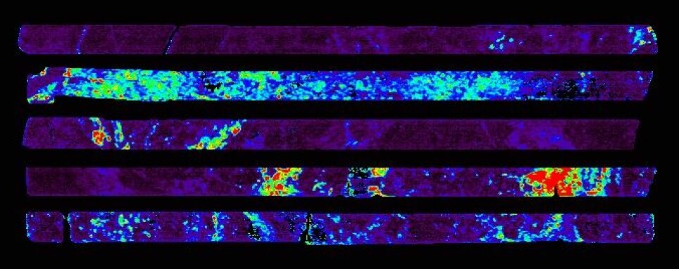 Slik ser en hyperspektral avbildning av kjernematerialet ut. Forskere og fagfolk kan tolke fargene på en slik måte at det blir enklere å gjøre enda mer detaljerte undersøkelser.