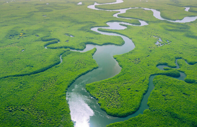 Menneskelig påvirkning ødelegger Amazonas økosystemer raskere enn noen gang
