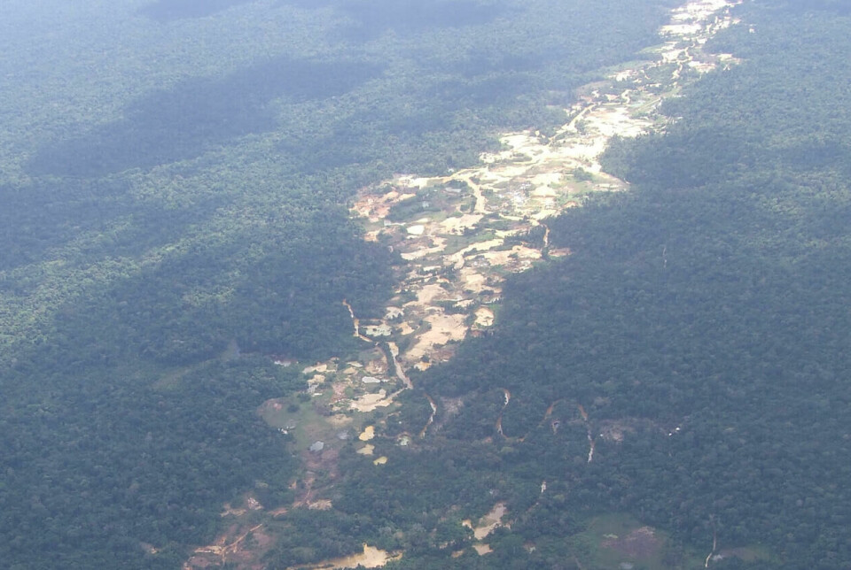 Ulovlig gruvedrift er en alvorlig trussel mot Amazonas biologiske mangfold.