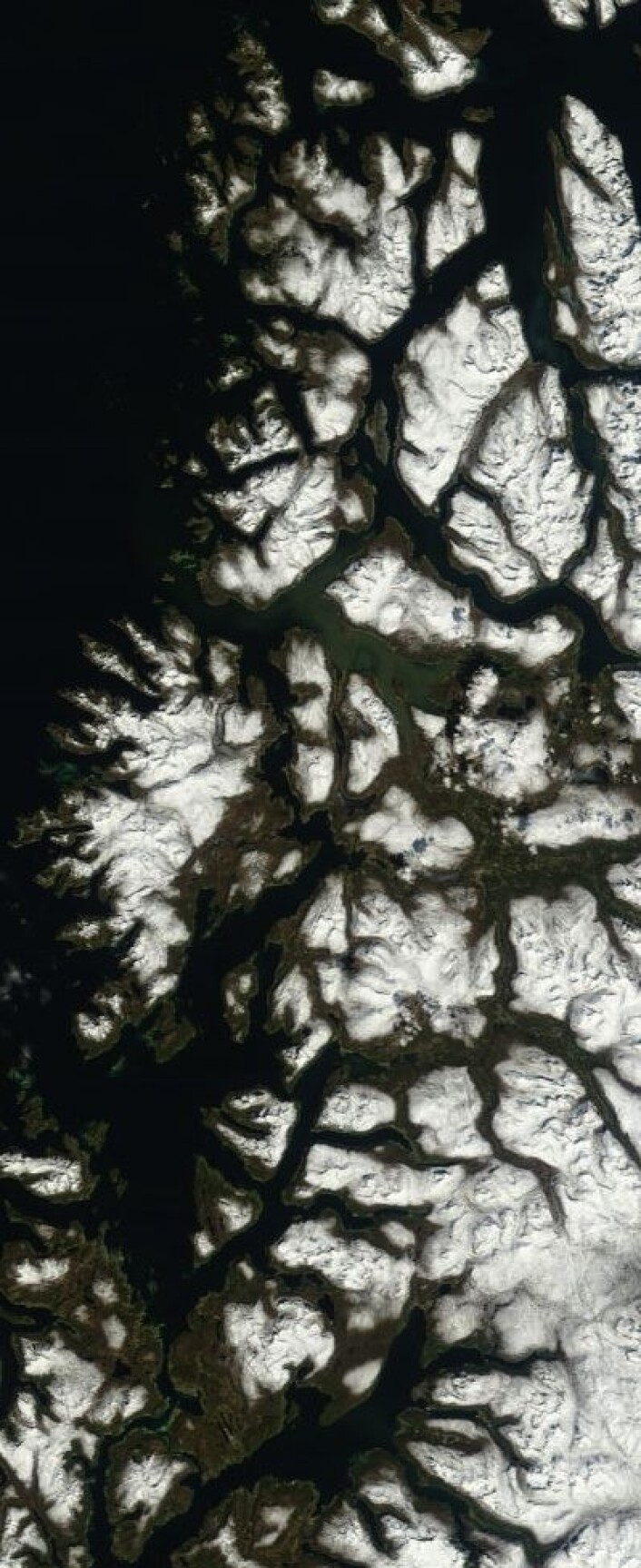 Til og med NASAs satellitter ser at det nå begynner å grønnes i Troms. Bildet er tatt 24. mai. (Foto: (NASA Terra MODIS)) Til og med NASAs satellitter ser at det nå begynner å grønnes i Troms. Bildet er tatt 24. mai. (Foto: (NASA Terra MODIS))