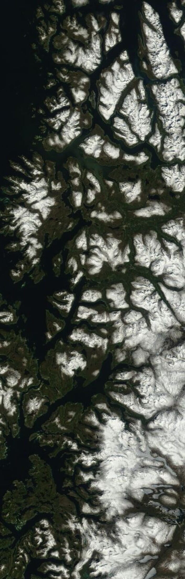 Troms og deler av Nordland sett fra NASAs satellitt Terra fredag 31. mai. (Foto: (NASA Terra MODIS)) Troms og deler av Nordland sett fra NASAs satellitt Terra fredag 31. mai. (Foto: (NASA Terra MODIS))
