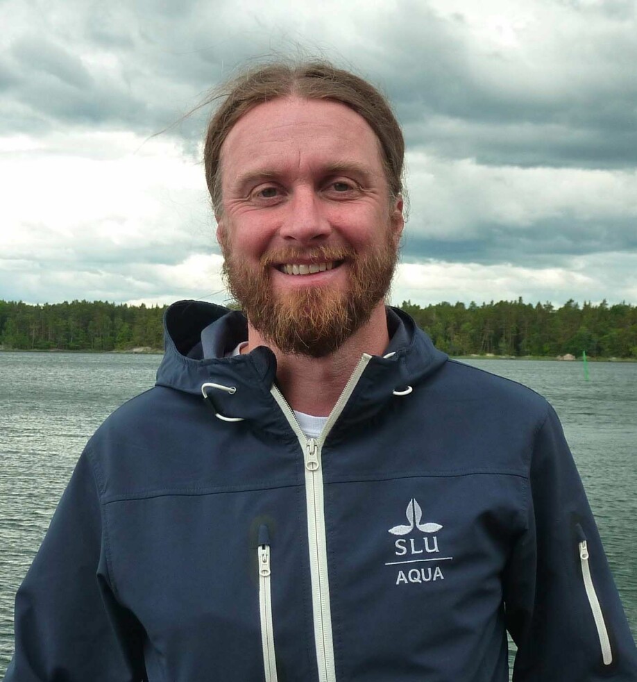 Jens Olsson vil ha tiltak for å redde østersjøgjeddene.