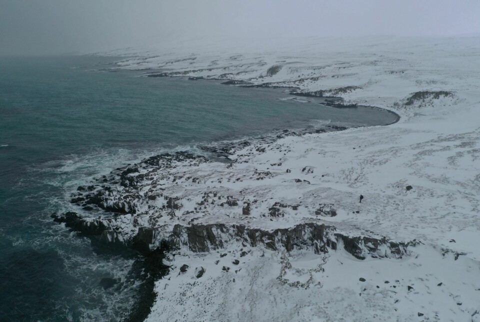Vikingane beherska det ville vinterlandskapet på Strandir nordvest på Island til fingerspissane. Her dreiv dei fangst og fiske vinterstid.