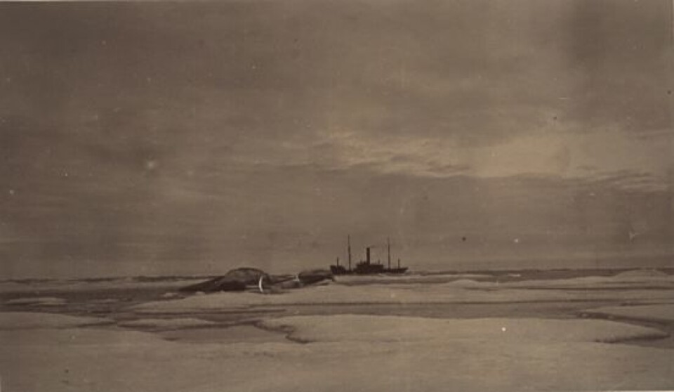 Nansen og Lieds skip 'Correct' mellom isflakene. Nå ser disse havstrekningene ganske annerledes ut. (Foto: Nasjonalbiblioteket)
