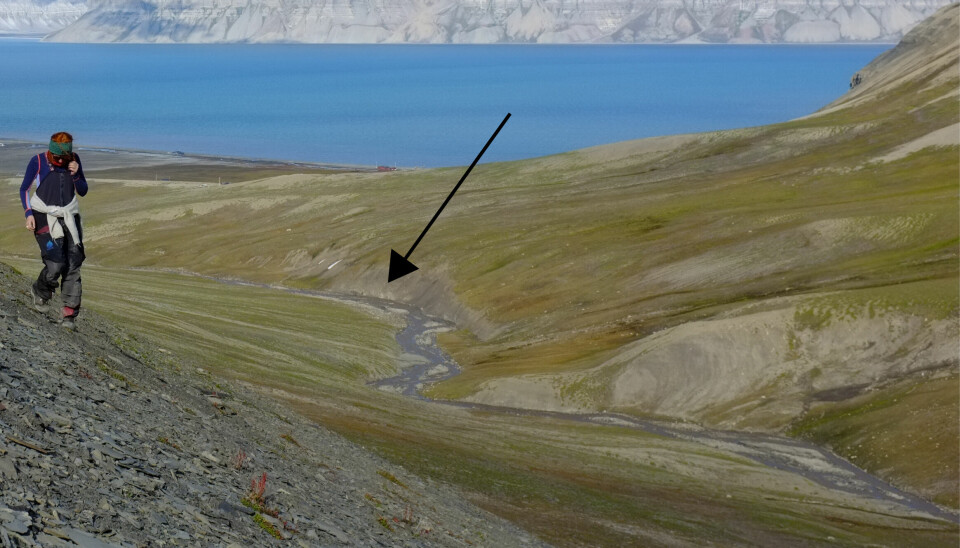 Forskere i felt på Vindodden på Svalbard. Pilen viser hvor Hurum og kollegaene fant de 250 millioner år gamle fiskeøgleknoklene.