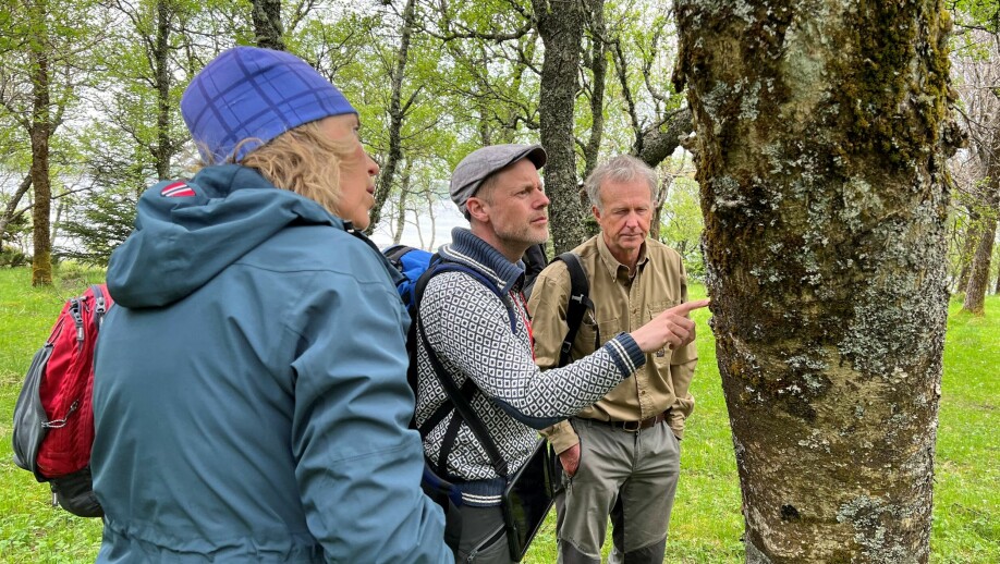 Thomas Holm Carlsen er en av mange biologer som hvert år samarbeider om å kartlegge ulike naturtyper i Norge.