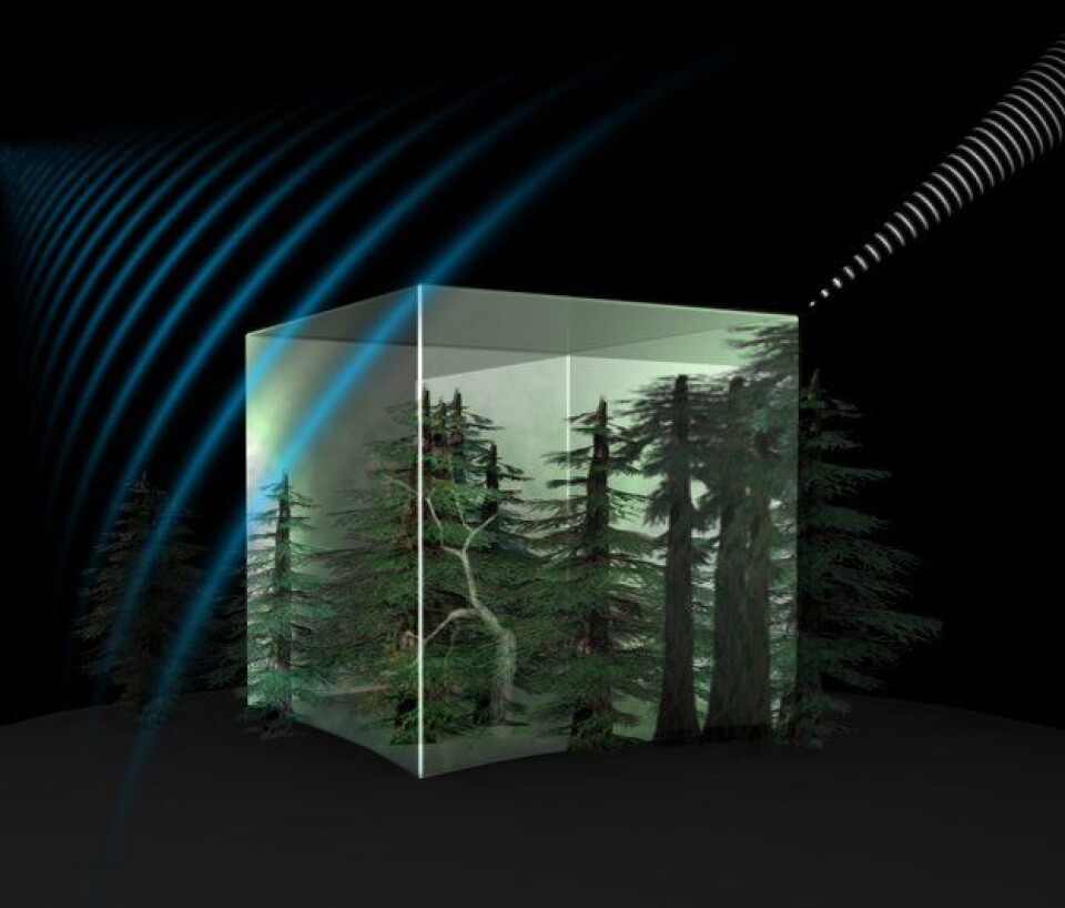 Biomass skal måle av skog- og biomasse på jorda og er en av ESAs miljøsatellitter Earth Explorers. Illustrasjon: ESA/AOES Medialab (Foto: ESA/AOES Medialab)