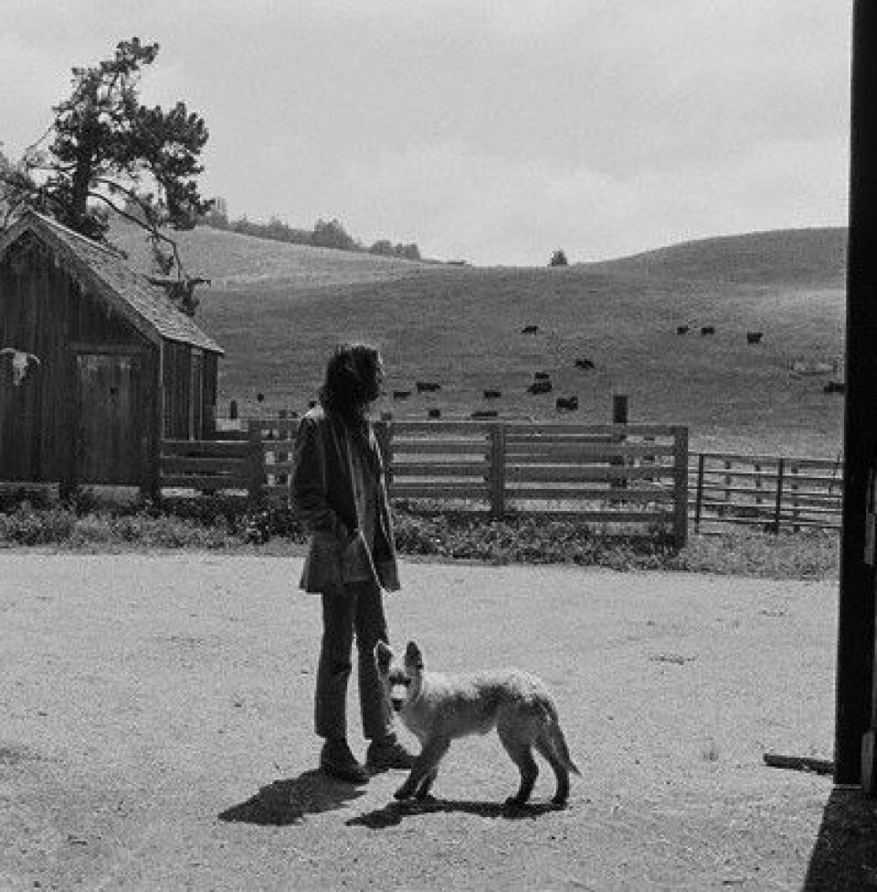 Neil Young flyttet fra kulda i Canada og kjøpte ranch i California. Her fotografert i 1971. (Foto: Henry Diltz)