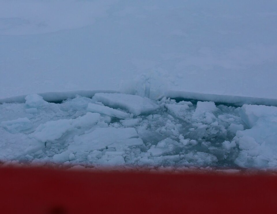 Hit, men ikke lenger. Det vesle hakket i iskanten er alt 7500 tonn ved to knops fart klarte å sette av merker i dette isflaket. (Foto: Sindre Skrede)