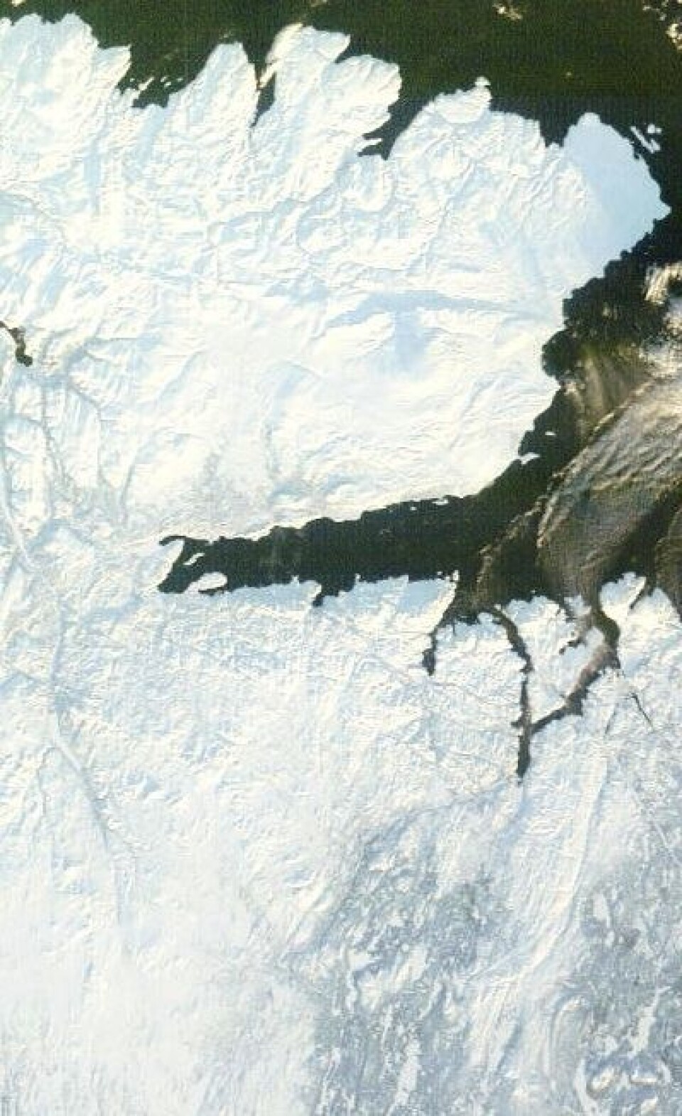 Den 7. februar var dagslyset kommet langt nok nord (og skyene langt nok unna) til at NASAs satellitt Terra fikk tatt et fint MODIS-bilde av Varangerhalvøya. Nå venter vi bare på årets første MODIS-bilde av Svalbard. (Foto: (NASA MODIS))