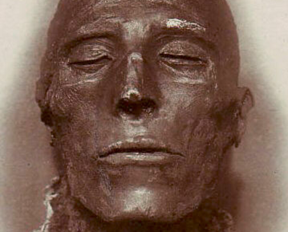 Eksempel på en egyptisk mumie. Dette er ansiktet til Seti I, som skal ha levd rundt 1100 år f.Kr. Bildet er tatt i 1889.