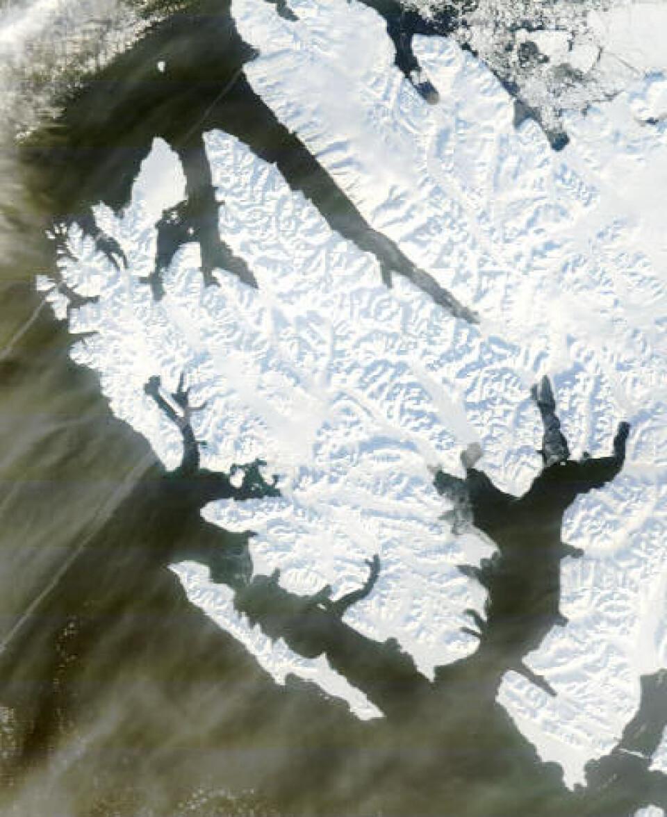 Svalbard sett fra NASAs satellitt Terra fredag 14. mars. Usedvanlig lite is i Wijdefjorden. (Foto: (NASA Terra MODIS))