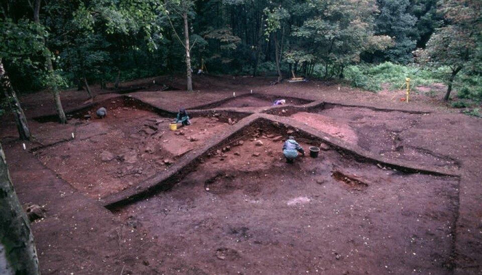 Forskere fra University of York gjorde utgravninger i Heath Wood-haugene mellom 1998 og 2000.