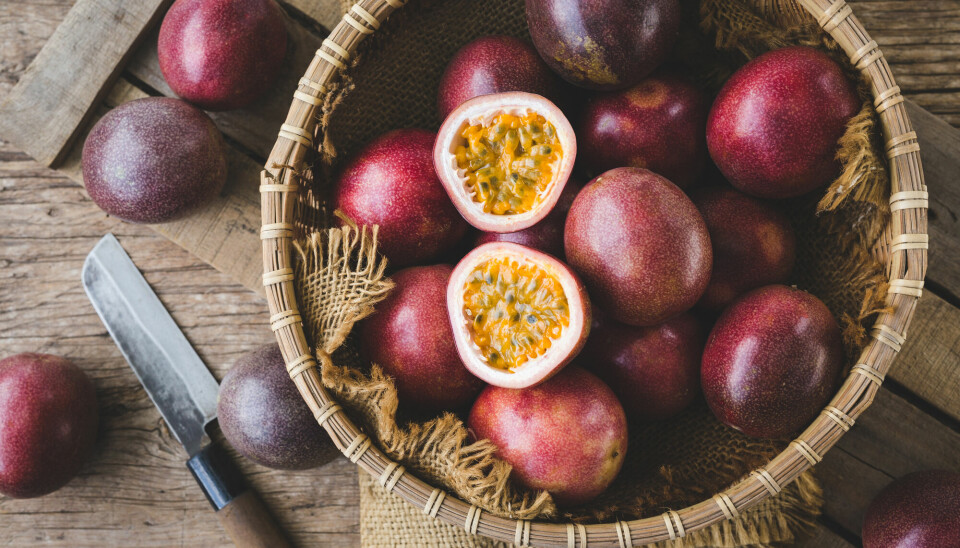 Forskere har testet ut om skallet fra pasjonsfrukt kan brukes som spiselig matemballasje.