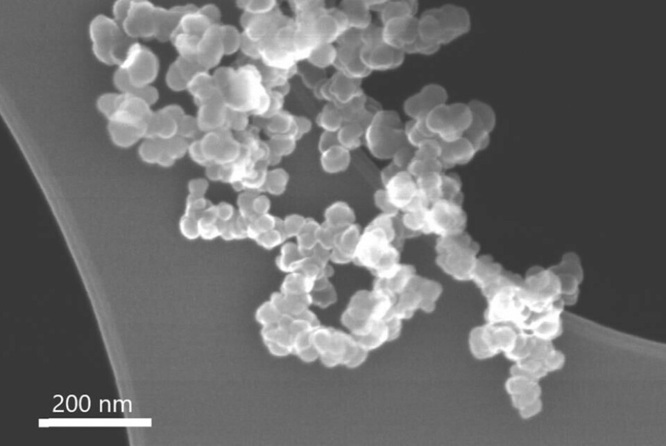 Nanopartiklane er laga av silisium.