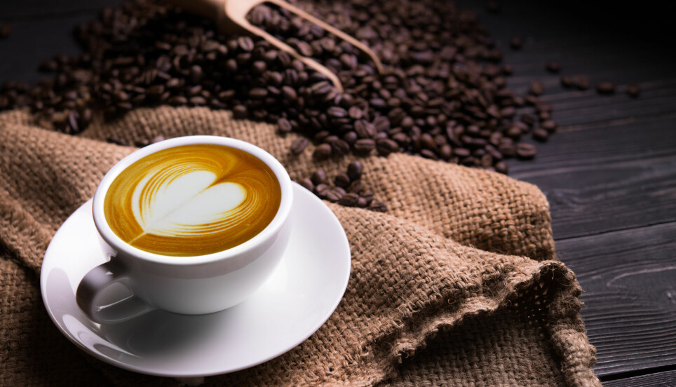 Kaffe er full av antioksidanter. Nå viser en dansk studie at en dæsj melk oppi kan gi ekstra svung på immuncellene.