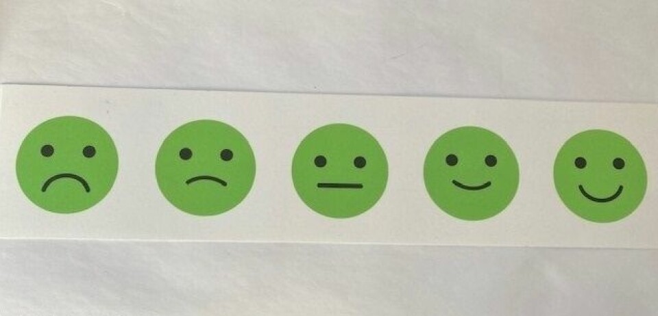 The test uses emojis to make it easy for pupils to answer.