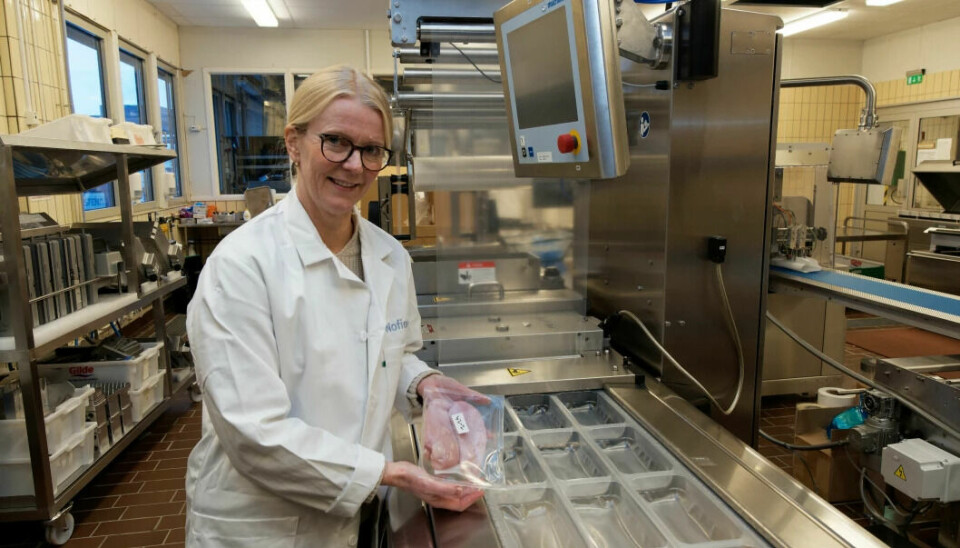 Anlaug Ådland Hansen at Nofima has tested chicken that has been packed using different methods.