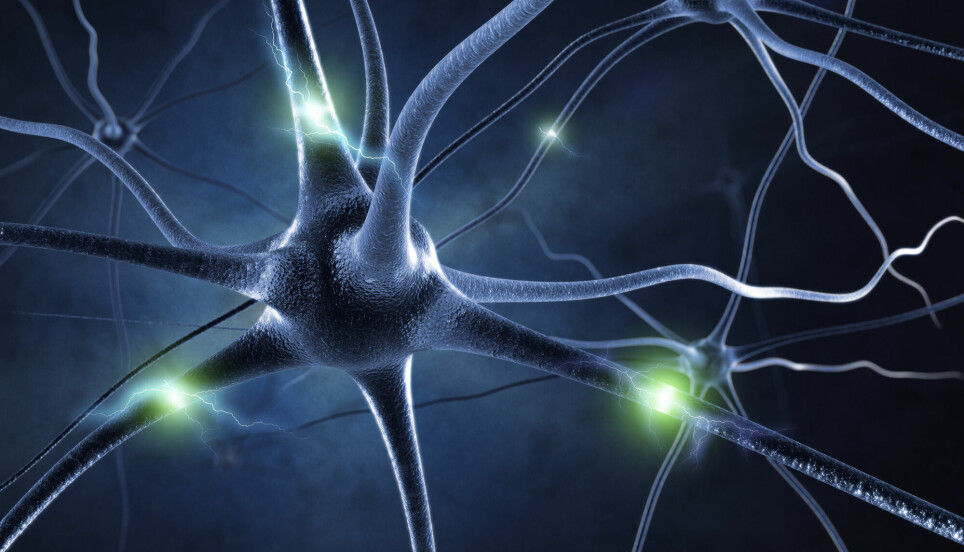 Nervecellene virker ved å skape en elektrisk bølge som raser nedover langs cellen og så overføres til nabocellen. Men i et epileptisk anfall vil noen nerveceller fyre slike elektriske signaler igjen og igjen, uten mål og mening.