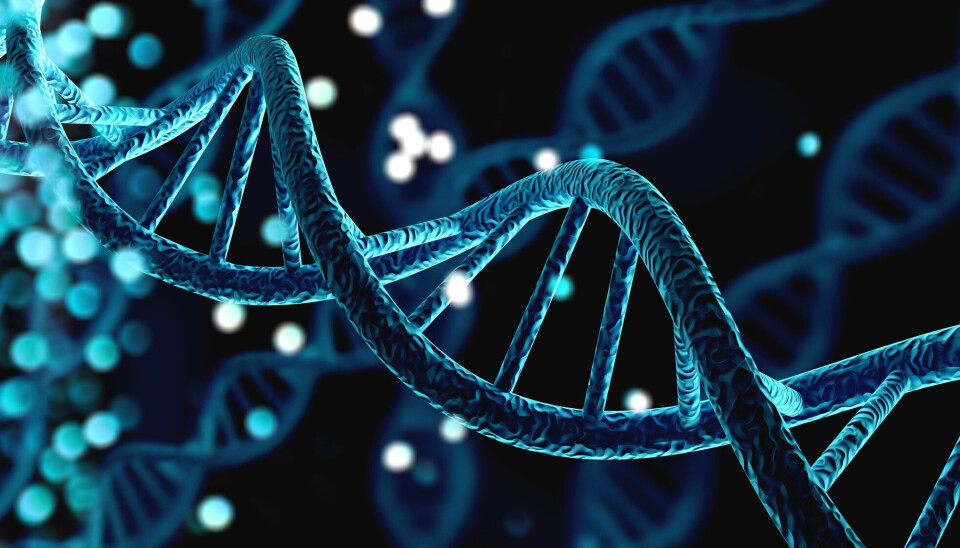 Genene som ligger i DNA-et vårt bestemmer hvilke egenskaper vi har. Men i tillegg finnes det reguleringer som bestemmer hvordan genene blir brukt. Dette kalles epigenetikk. I motsetning til genene, kan disse reguleringene forandres i løpet av livet.