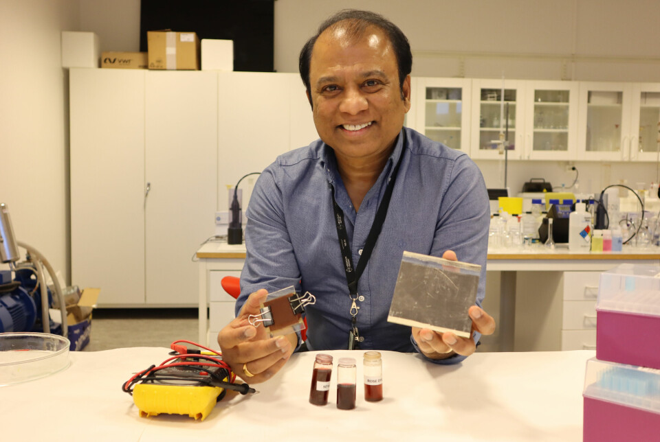 Dhayalan Velauthapillai researches how nanomaterials can create clean energy. Here he shows off a couple of thin films with nanomaterials in the laboratory at Western Norway University of Applied Sciences.