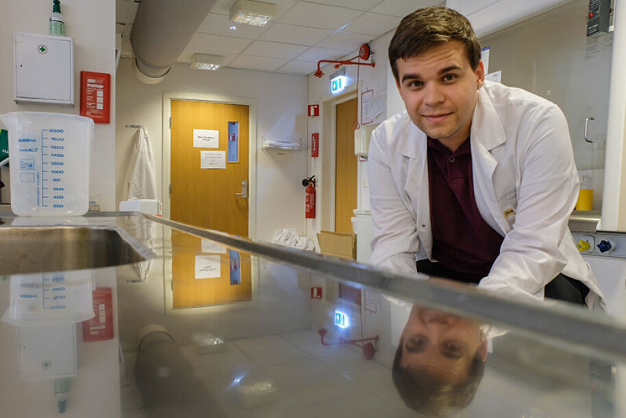 Denis Zosen studerer hjernen med modellar for å finna årsaker til alvorlege og utbreidde sjukdommar.
