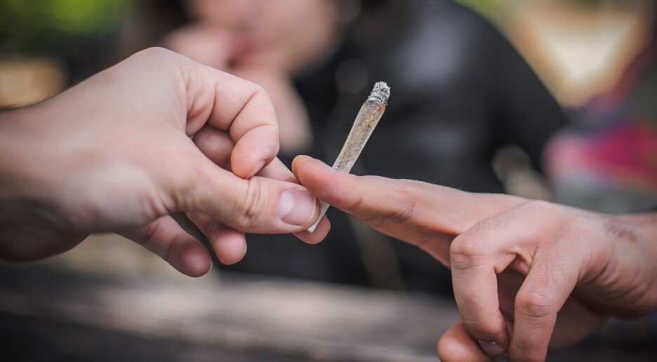 Nordmenn er splittet i synet på å om vi skal straffe de som bruker cannabis