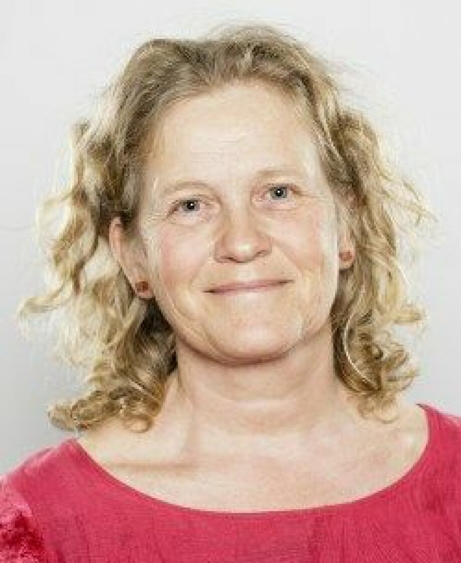 Anette Kristine Krogenæs er veterinær på NMBU.
