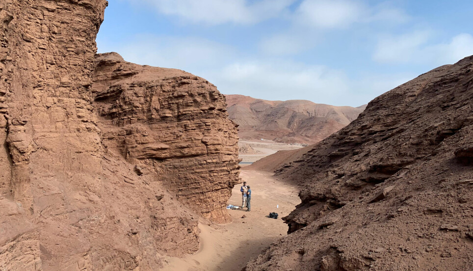 Forskere har lett etter livstegn i dette området i Atacama-ørkenen i Chile.