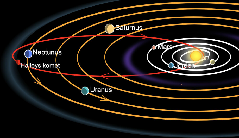 På illustrasjonen ser vi Halleys komets bane rundt Solen. Banen strekker seg forbi Neptun og helt ut til Kuiperbeltet.