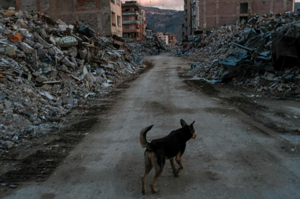 Det store jordskjelvet i Tyrkia og Syria i starten av februar skjedde bare noen timer etter at det var fullmåne. Var det en sammenheng?