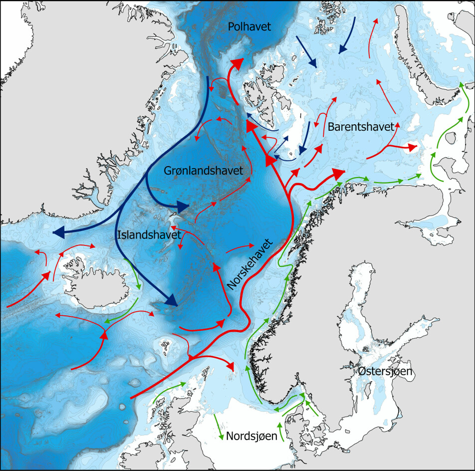 Effekten av varmere hav vil slå ulikt ut for torsk og skrei. Torsk lever langs Norskekysten hvor det allerede er ganske varmt, og den vil få matmangel. Skreien, eller Barentshavstorsk, vil få større beiteområder i Barentshavet.